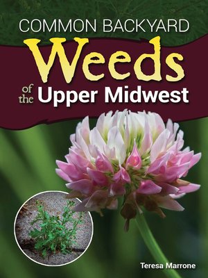 cover image of Common Backyard Weeds of the Upper Midwest
